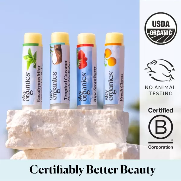 Sky Organics Organic Lip Balm with Beeswax and a Rich Nourishing Blend of Plant Oils Moisturizing Lips Balms to Lock In Moisture and Keep Lips Feeling Soft and Smooth Six Assorted Flavors 6pkMint  Coconut  Strawberry  Citrus