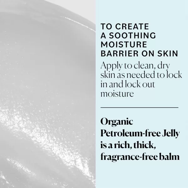 Sky Organics Organic Petroleumfree Jelly MultiPurpose Skin Care Balm with Organic Shea Butter Coconut Oil Olive Oil ampamp Vitamin E Moisturizing Lip Balm ampamp Moisturizer for Dry Skin 25 Oz