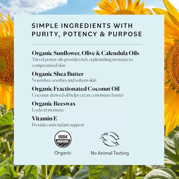Sky Organics Organic Petroleumfree Jelly MultiPurpose Skin Care Balm with Organic Shea Butter Coconut Oil Olive Oil ampamp Vitamin E Moisturizing Lip Balm ampamp Moisturizer for Dry Skin 25 Oz