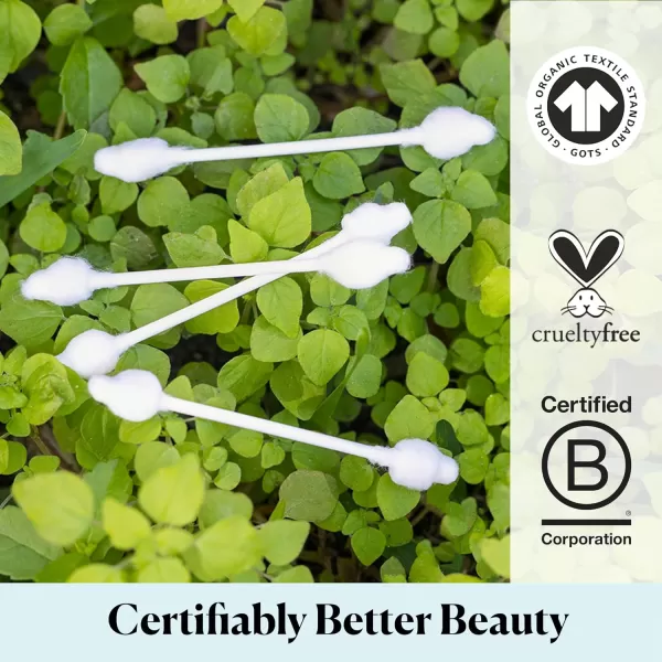 Sky Organics Organnic Cotton Swabs for Sensitive Skin 100 Pure GOTS Certified Organic for Beauty ampamp Personal Care 500 ct60 Count Pack of 1