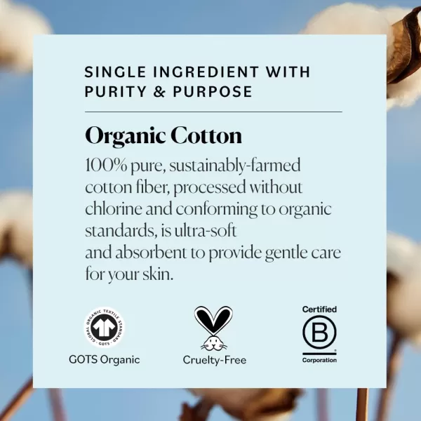 Sky Organics Organnic Cotton Swabs for Sensitive Skin 100 Pure GOTS Certified Organic for Beauty ampamp Personal Care 500 ct60 Count Pack of 3