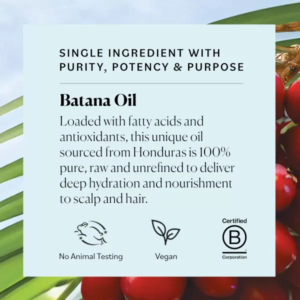 Sky Organics RAW ampamp UNREFINED BATANA OIL 100 Pure from Honduras to Support Scalp ampamp Stronger FullerLooking Hair Intensive Hair Conditioning ampamp Hair Repair Mask 4 fl oz Pack of 1