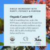 imageSky Organics USDA Organic Castor Oil with Rosemary Oil Strengthening Oil Pure Potent Blend Hexane Free Invigorates Scalp Supports Stronger FullerLooking Hair Textured Hair w ebook795 Fl Oz Pack of 1