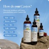 image:imageSky Organics 8 oz Castor Oil wWraps  Reusable Organic Castor Oil Pack to Boost Bodys Wellness Encourage Rest amp Relaxation  Adjustable Elastic Straps Cotton Durable Easy to Use8 Fl Oz Kit Pack of 1