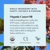 image:imageSky Organics 8 oz Castor Oil wWraps  Reusable Organic Castor Oil Pack to Boost Bodys Wellness Encourage Rest amp Relaxation  Adjustable Elastic Straps Cotton Durable Easy to Use1 Fl Oz Eyelash Serum