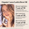 image:imageSky Organics 8 oz Castor Oil wWraps  Reusable Organic Castor Oil Pack to Boost Bodys Wellness Encourage Rest amp Relaxation  Adjustable Elastic Straps Cotton Durable Easy to UseLash  Brow  Applicator