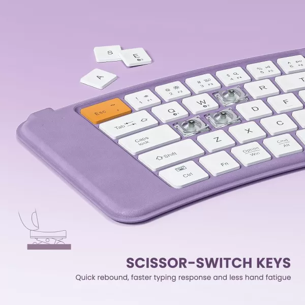 seenda Foldable Bluetooth Keyboard MultiDevice Wireless Folding Keyboard for Travel Ultra Slim Ergonomic Design with Stand Holder Portable Keyboard for Smartphone Tablet Laptop PurplePurple
