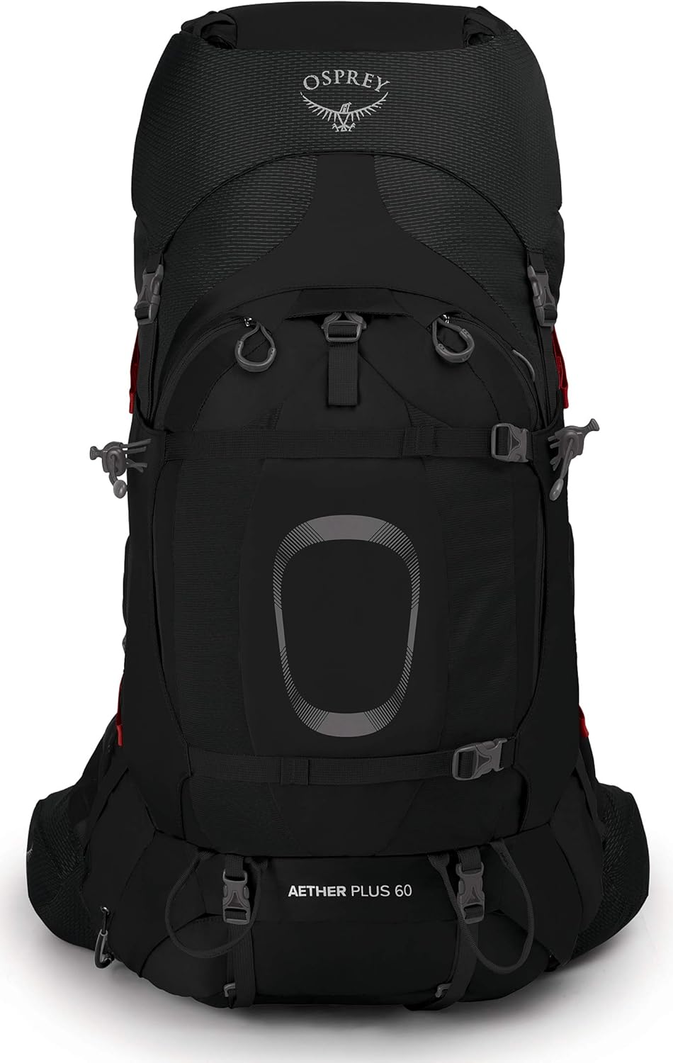 Osprey Aether Plus 60L Mens Backpacking Backpack Axo Green LXLEclipse Grey