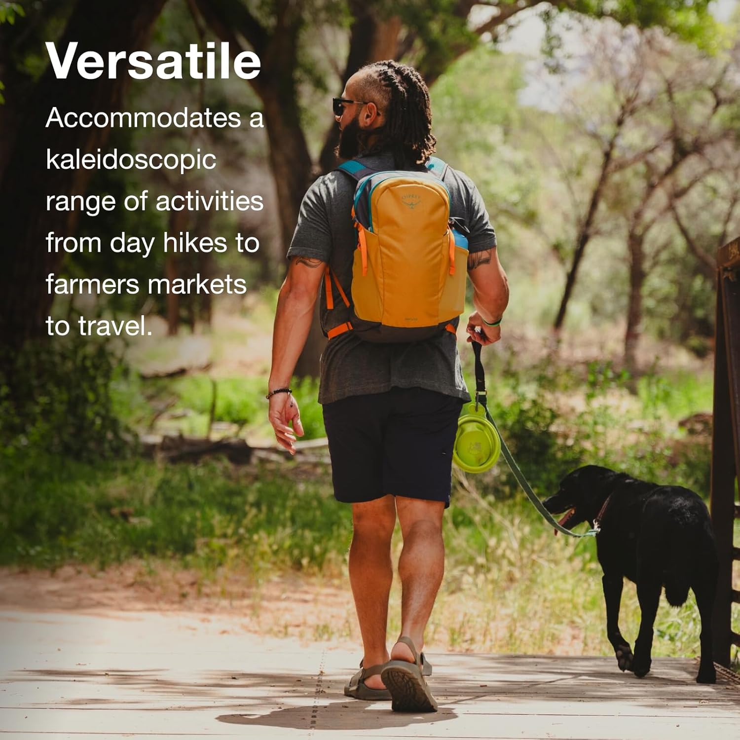 Osprey Daylite Commuter BackpackBlue SpikemassAlkaline