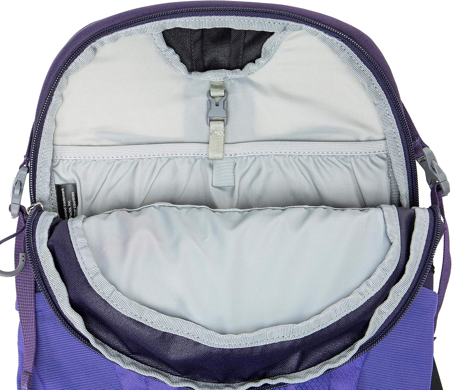 Osprey Daylite Commuter BackpackDream Purple
