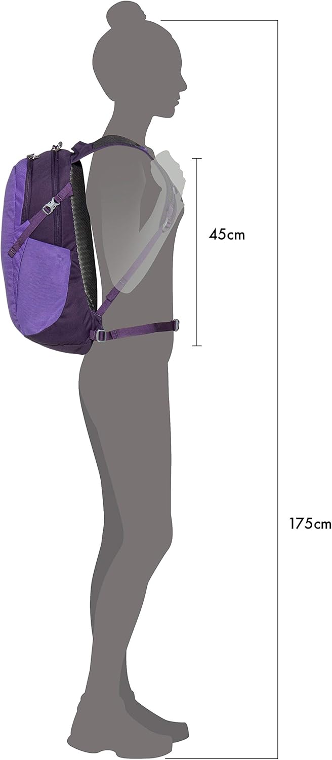 Osprey Daylite Commuter BackpackDream Purple