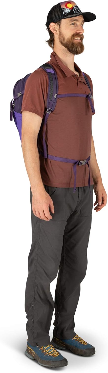 Osprey Daylite Plus Commuter Backpack BlackDream Purple