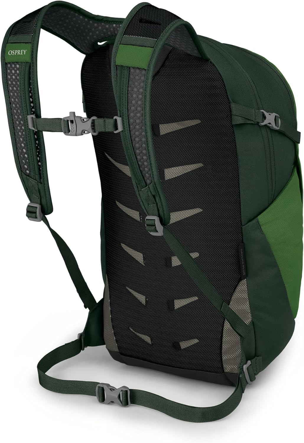 Osprey Daylite Plus Commuter Backpack BlackGreen BeltGreen Canopy