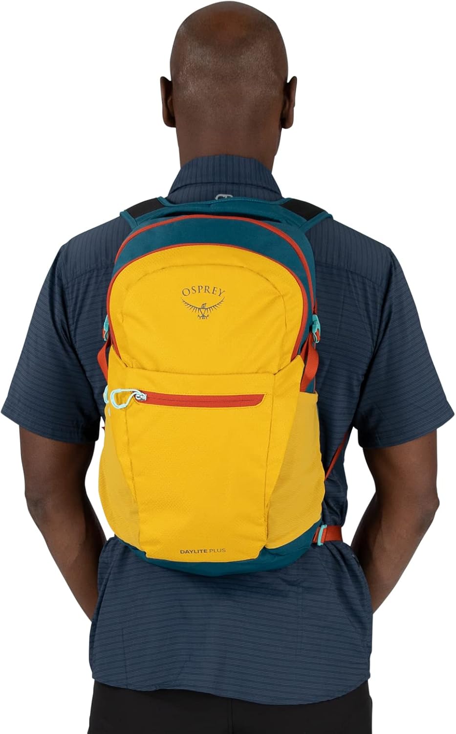 Osprey Daylite Plus Commuter Backpack BlackGreen CanopyGreen Creek