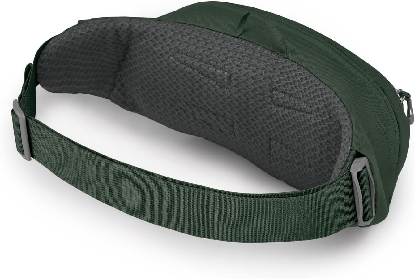 Osprey Daylite Waist PackGreen Beltareen Canopy
