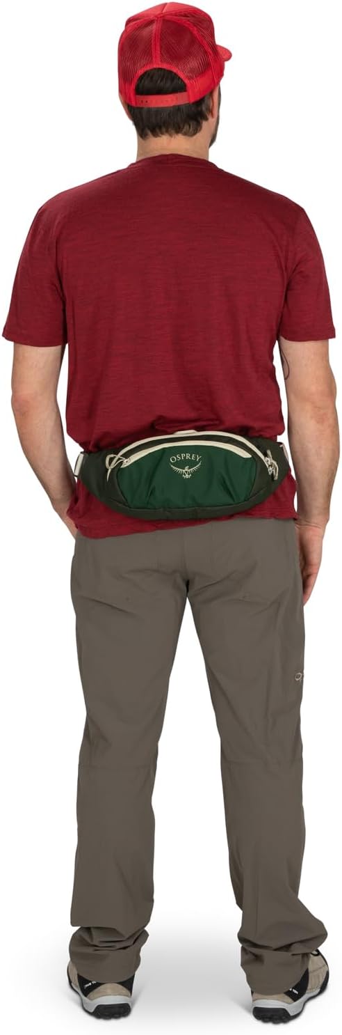 Osprey Daylite Waist PackGreen CanopyGreen