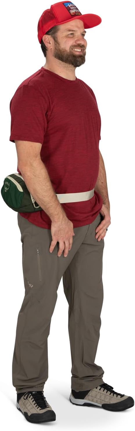 Osprey Daylite Waist PackGreen CanopyGreen