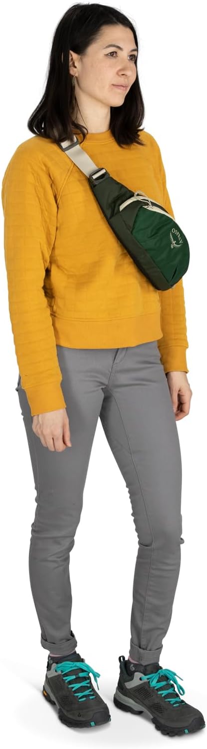 Osprey Daylite Waist PackGreen CanopyGreen
