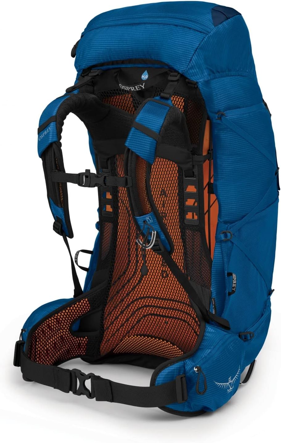 Osprey Exos 58 Mens Ultralight Backpacking BackpackBlue Ribbon