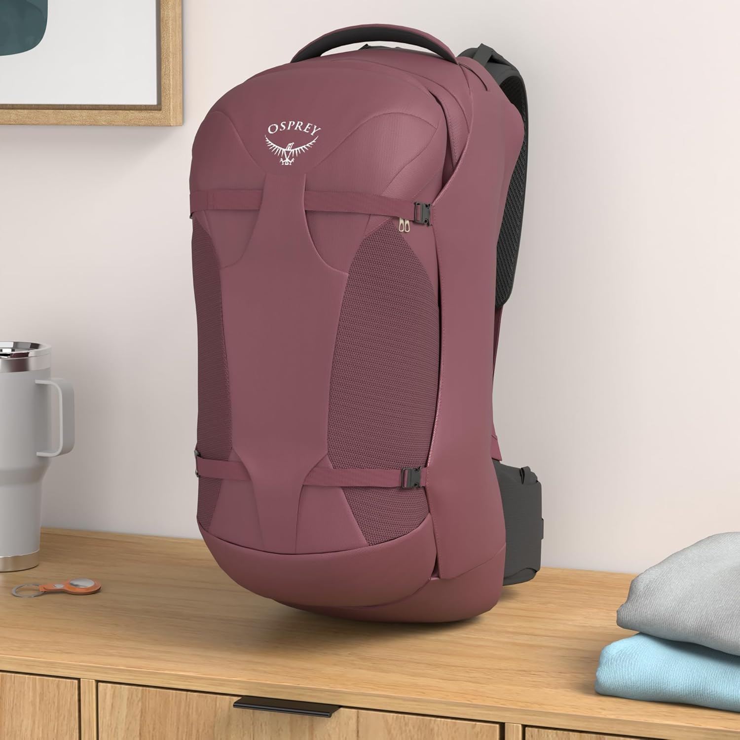 Osprey Fairview 55L Womens Travel Backpack BlackZircon Red
