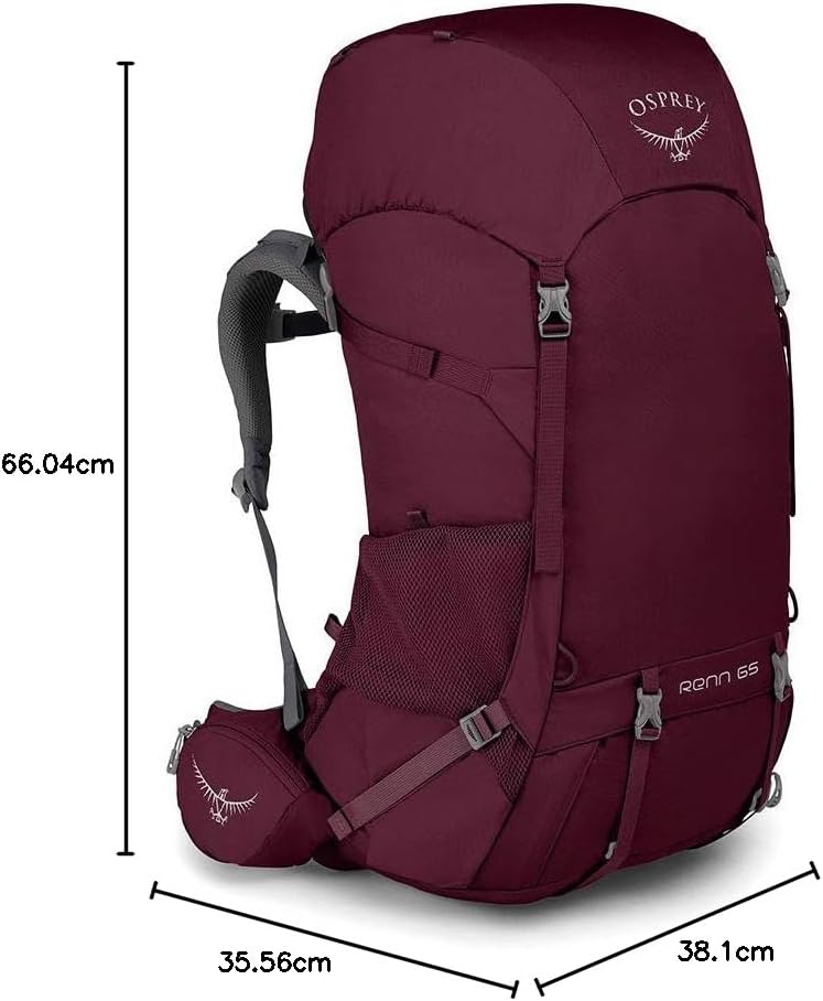 Osprey Renn 65L Womens Backpacking Backpack Aurora PurpleAurora Purple