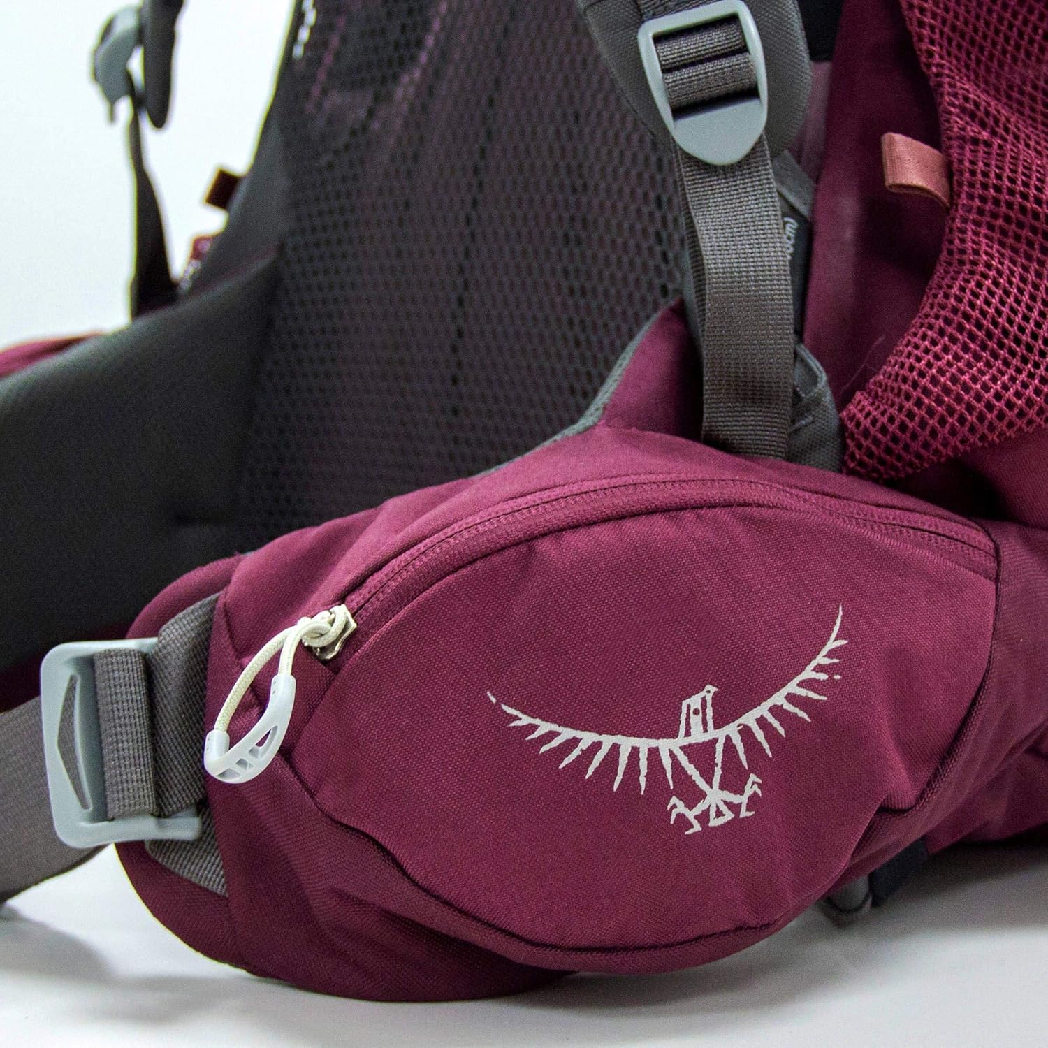 Osprey Renn 65L Womens Backpacking Backpack Aurora PurpleAurora Purple