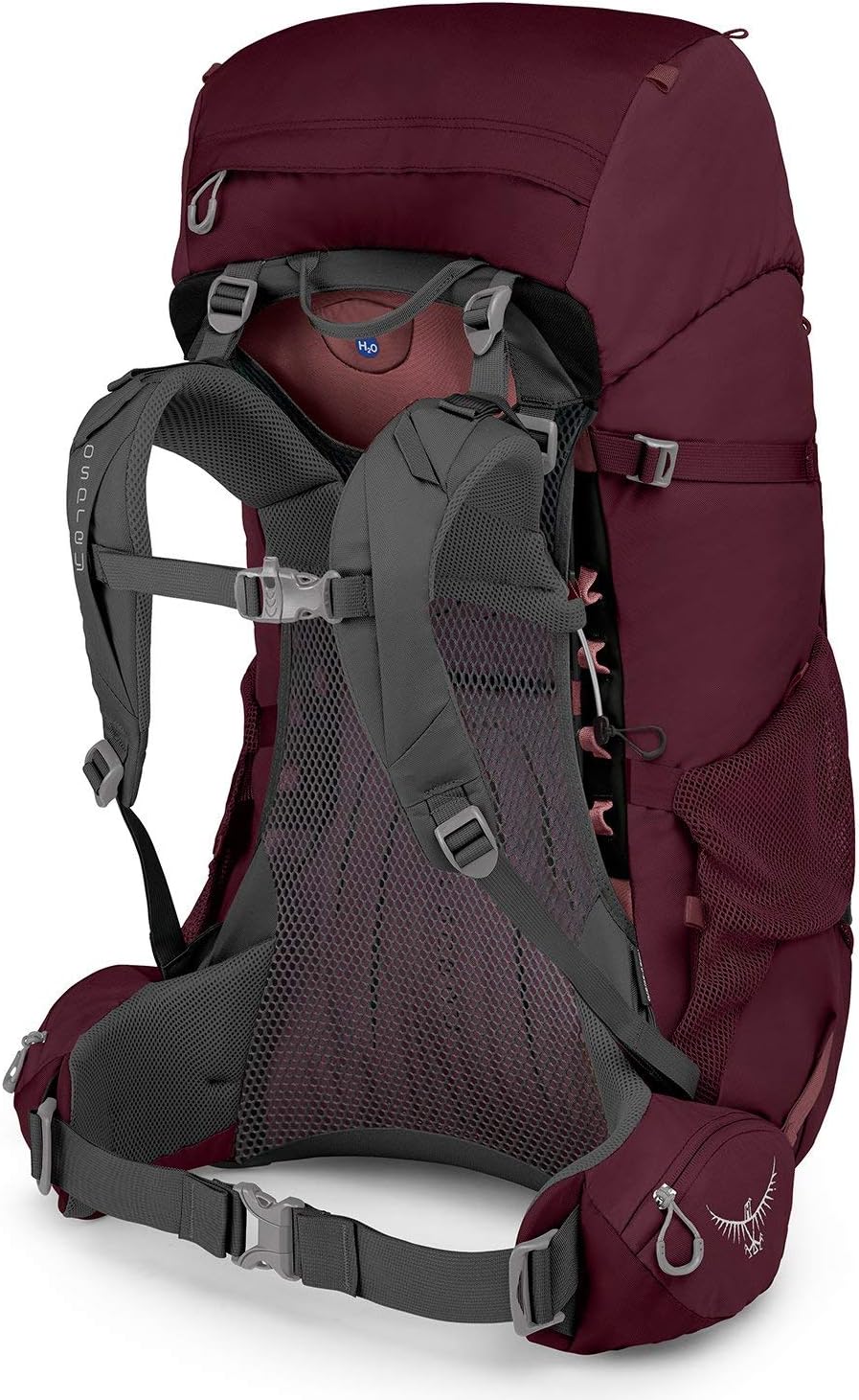 Osprey Renn 65L Womens Backpacking Backpack Aurora PurpleAurora Purple