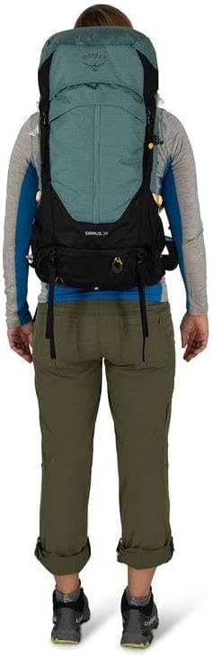 Osprey Sirrus 24L Womens Hiking Backpack Tunnel Vision GreyElderberry PurpleChiru Tan