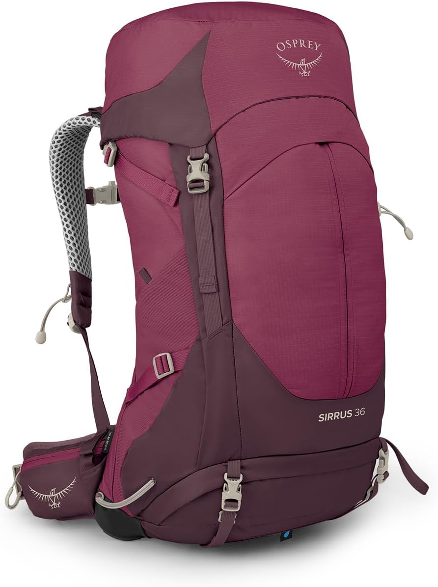 Osprey Sirrus 24L Womens Hiking Backpack Tunnel Vision GreyElderberry PurpleChiru Tan