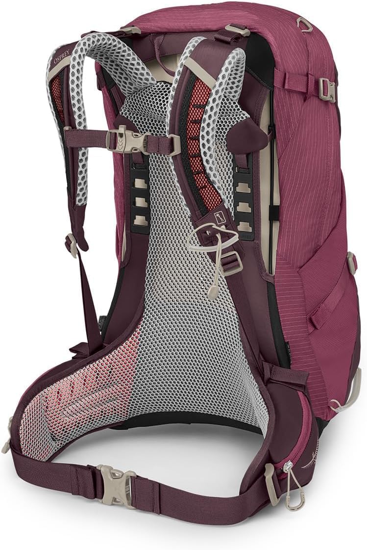 Osprey Sirrus 24L Womens Hiking Backpack Tunnel Vision GreyElderberry PurpleChiru Tan
