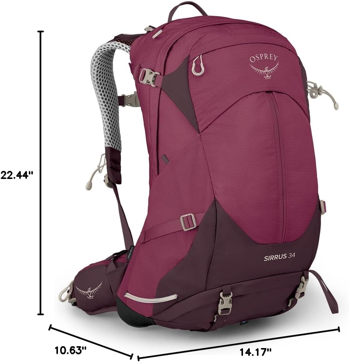 Osprey Sirrus 24L Womens Hiking Backpack Tunnel Vision GreyElderberry PurpleChiru Tan