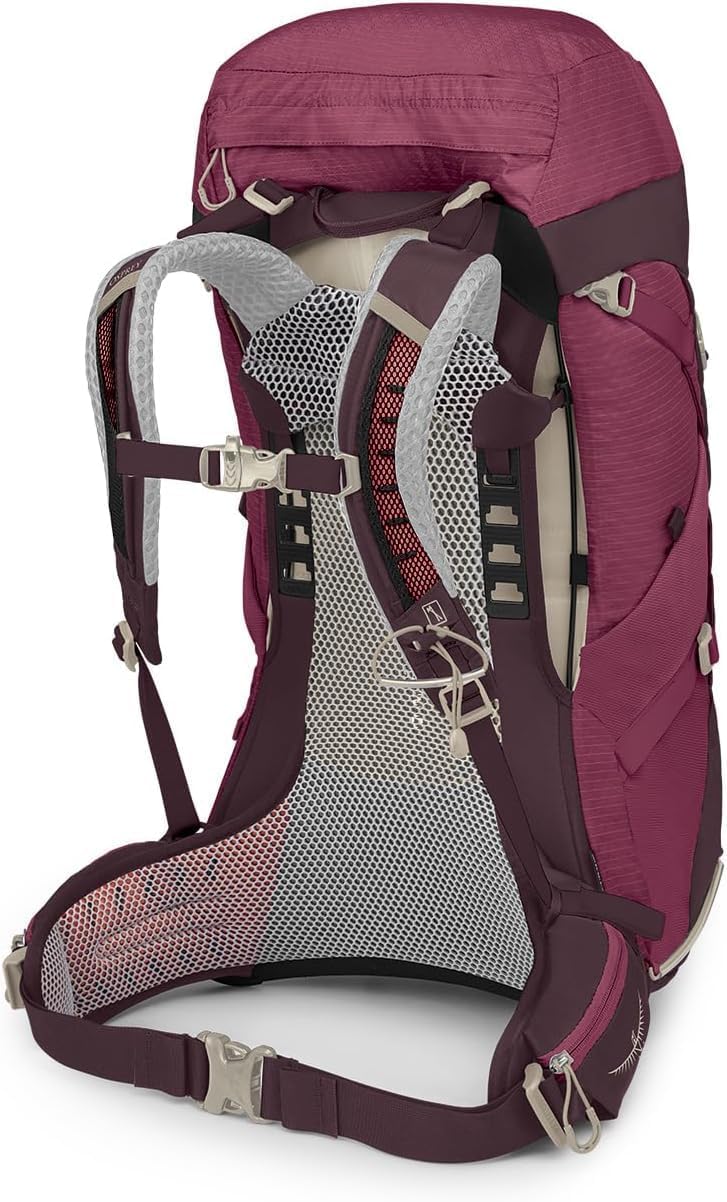 Osprey Sirrus 24L Womens Hiking Backpack Tunnel Vision GreyElderberry PurpleChiru Tan