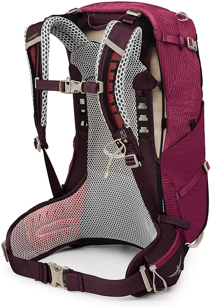 Osprey Sirrus 24L Womens Hiking Backpack Tunnel Vision GreyMuted Space Blue
