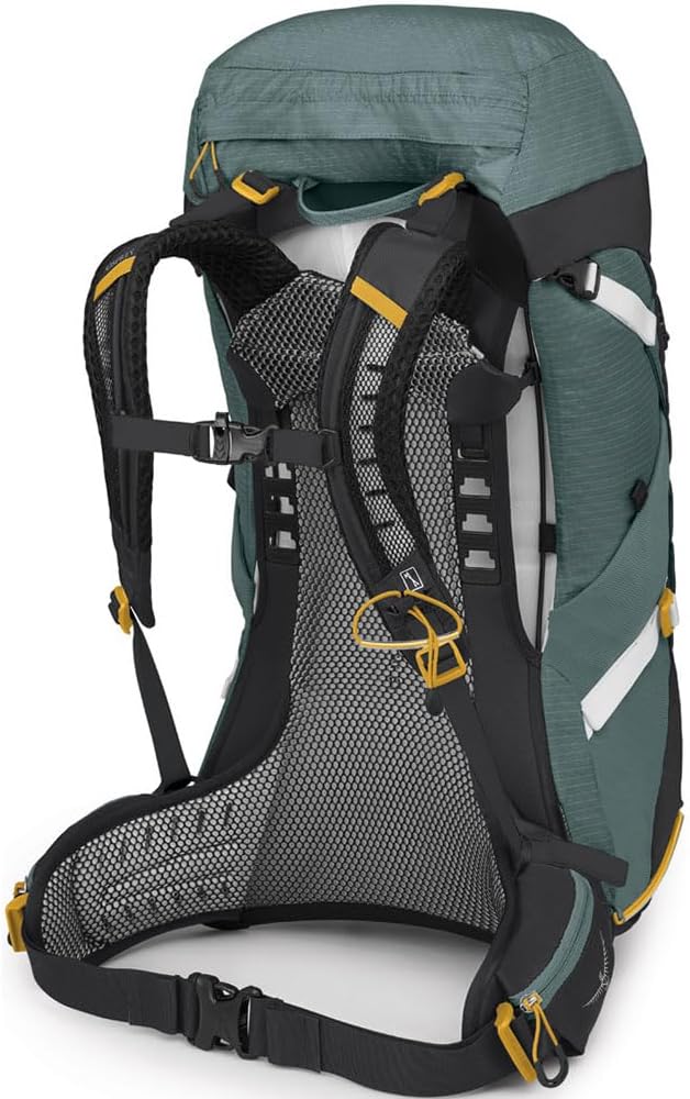 Osprey Sirrus 24L Womens Hiking Backpack Tunnel Vision GreySucculent Green