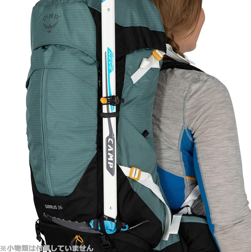 Osprey Sirrus 24L Womens Hiking Backpack Tunnel Vision GreySucculent Green