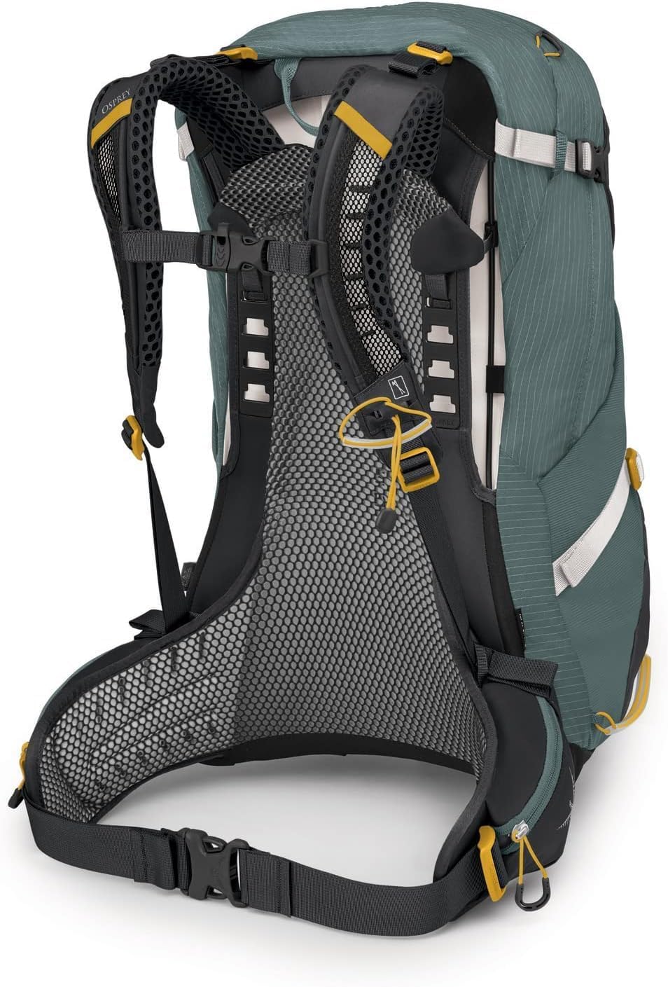 Osprey Sirrus 24L Womens Hiking Backpack Tunnel Vision GreySucculent Green