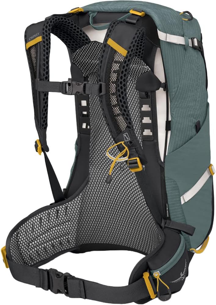 Osprey Sirrus 24L Womens Hiking Backpack Tunnel Vision GreySucculent Green