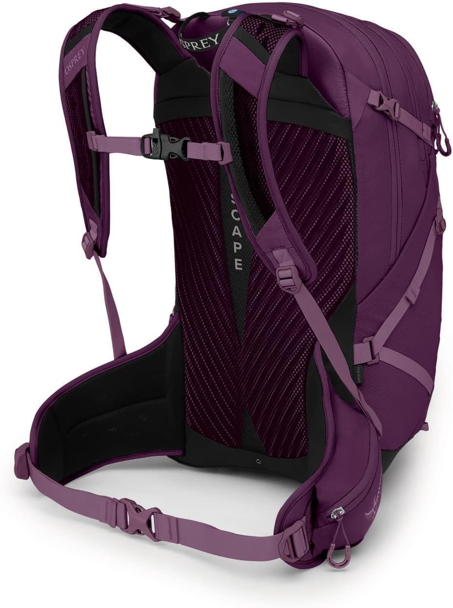 Osprey Sportlite 25 Hiking BackpackAubergine Purple