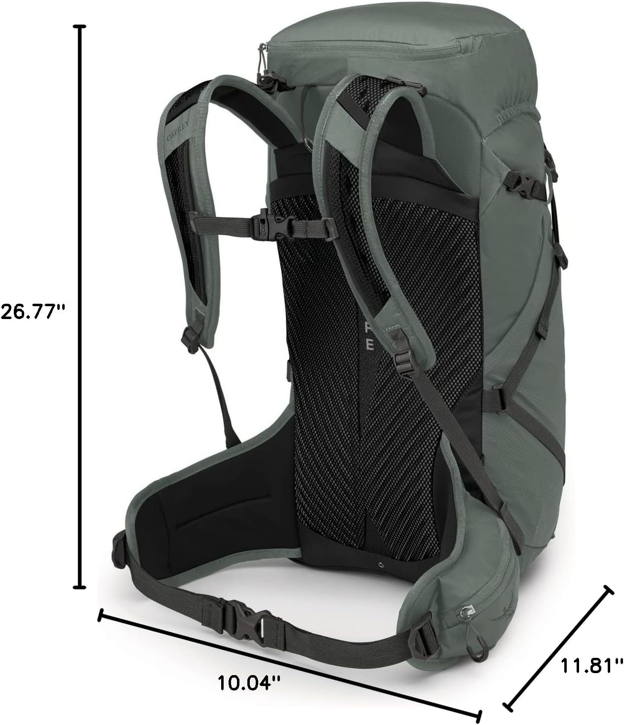 Osprey Sportlite 30L Unisex Hiking BackpackPine Leaf Green