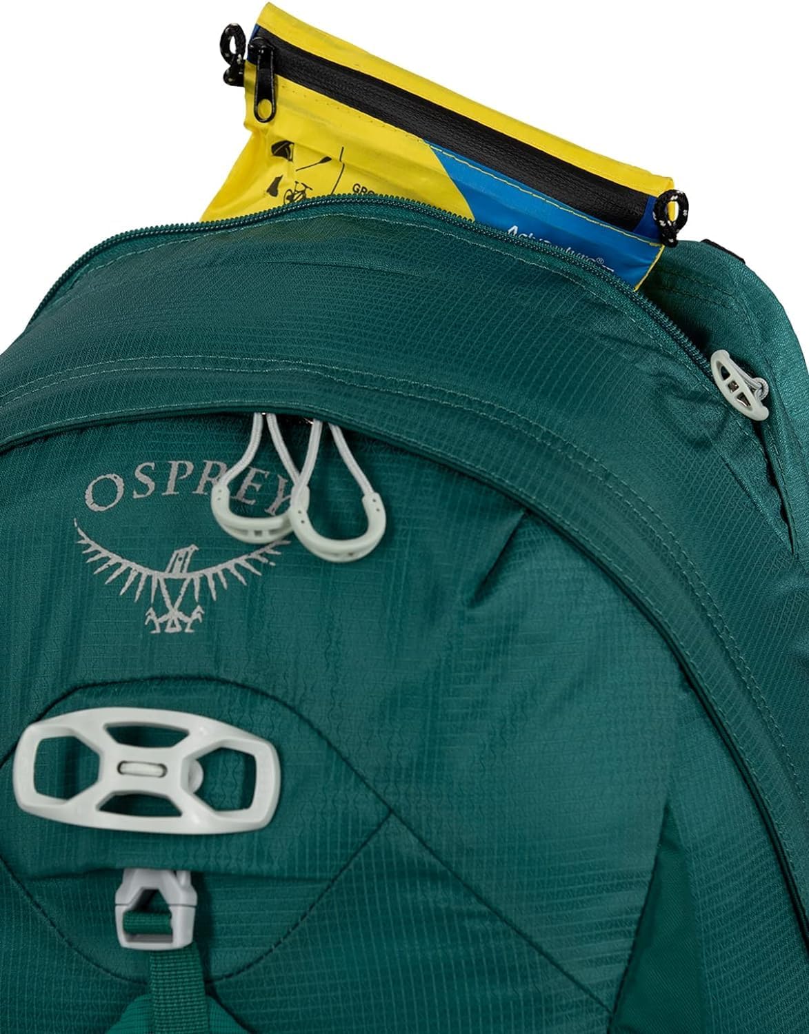 Osprey Tempest 20L Womens Hiking Backpack with Hipbelt Stealth Black WMLJasper Green