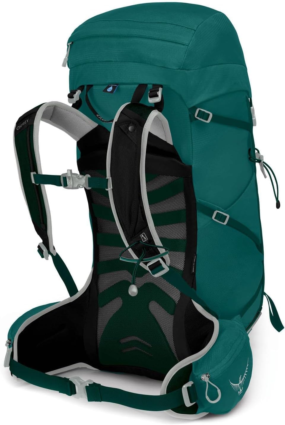 Osprey Tempest 30L Womens Hiking Backpack with Hipbelt Jasper Green WXSSJasper Green