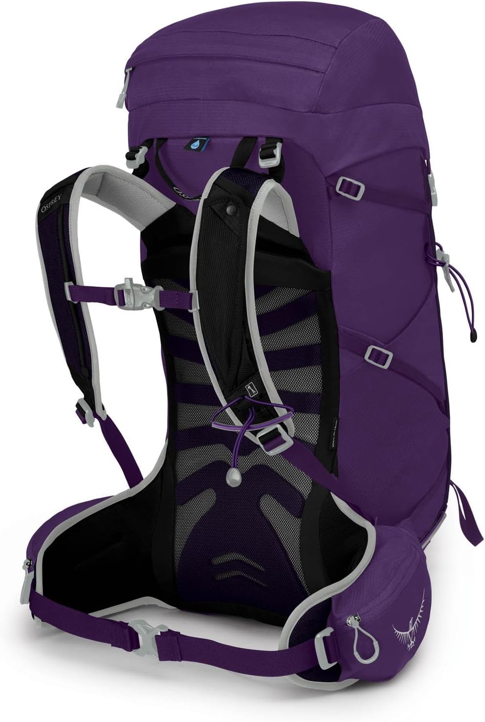 Osprey Tempest 30L Womens Hiking Backpack with Hipbelt Jasper Green WXSSViolac Purple