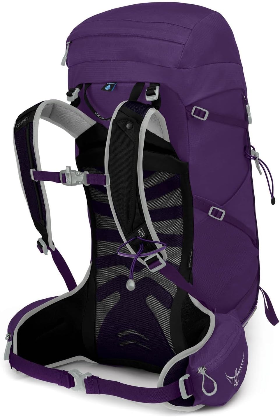 Osprey Tempest 30L Womens Hiking Backpack with Hipbelt Jasper Green WXSSViolac Purple