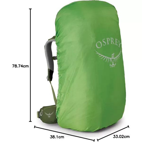 Osprey Ace Kids Backpacking BackpackVenture Green