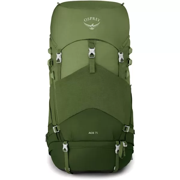 Osprey Ace Kids Backpacking BackpackVenture Green