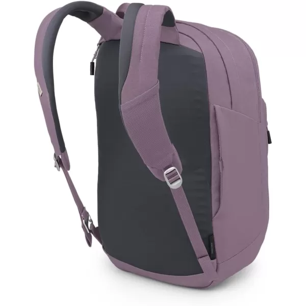 Osprey Arcane XL Day Commuter Backpack Earl GreySandy Grey HeatherPurple Dusk Heather