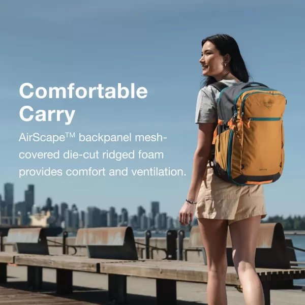 Osprey Daylite 35L Travel Pack Tumbleweed YellowTunnel VisionNight Shift Blue