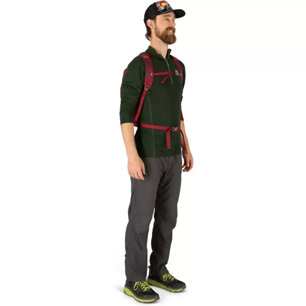 Osprey Daylite Commuter BackpackCosmic Red