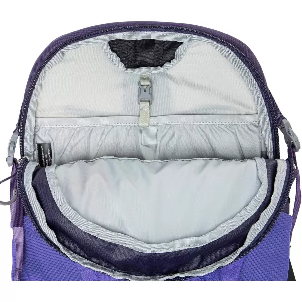 Osprey Daylite Commuter BackpackDream Purple