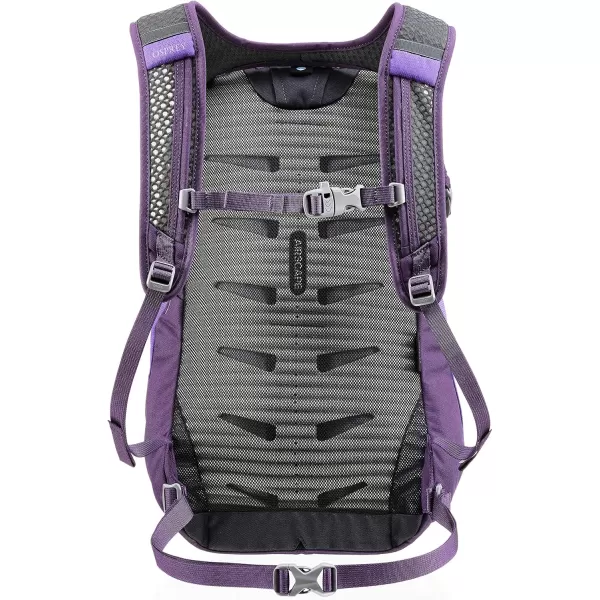 Osprey Daylite Commuter BackpackDream Purple